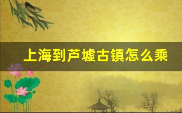 上海到芦墟古镇怎么乘车_芦墟到浦东机场坐车要怎么去