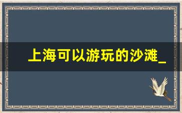 上海可以游玩的沙滩_上海各个沙滩的景色