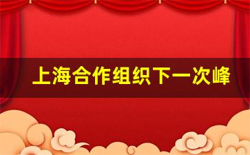 上海合作组织下一次峰会_上海合作组织意义