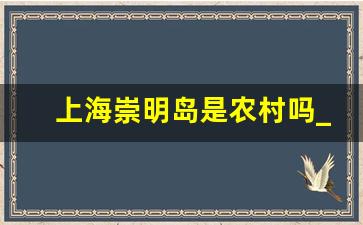 上海崇明岛是农村吗_上海人管崇明人叫什么