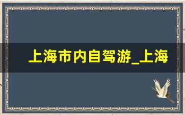 上海市内自驾游_上海晚上开车散心去处