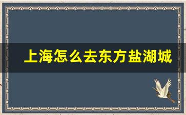 上海怎么去东方盐湖城_从南京到东方盐湖城交通路线