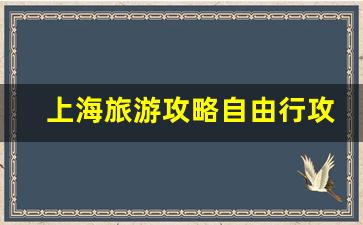 上海旅游攻略自由行攻略_上海人气最旺的十大景点