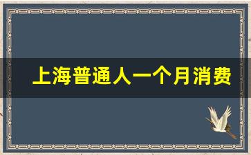 上海普通人一个月消费_一个人去上海打拼愚蠢吗