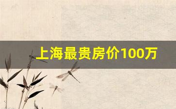 上海最贵房价100万一平