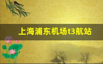 上海浦东机场t3航站楼效果图