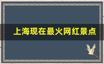 上海现在最火网红景点