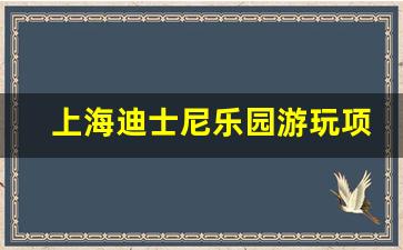 上海迪士尼乐园游玩项目_迪士尼每个项目都要钱吗