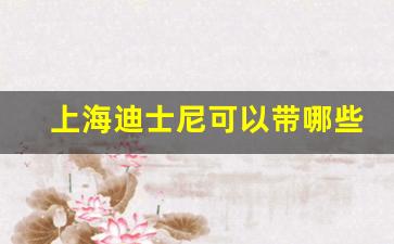 上海迪士尼可以带哪些食物攻略_迪士尼必买物品清单