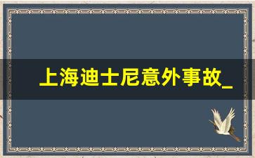 上海迪士尼意外事故_上海迪士尼惨案