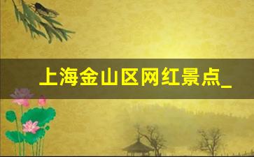 上海金山区网红景点_金山廊下老街