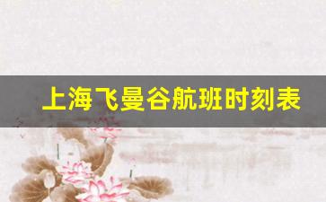 上海飞曼谷航班时刻表_武汉飞曼谷航班查询