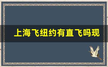 上海飞纽约有直飞吗现在_上海飞美国航班