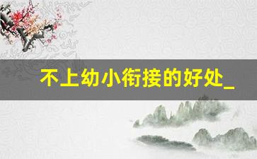 不上幼小衔接的好处_为什么不建议孩子去公立幼儿园