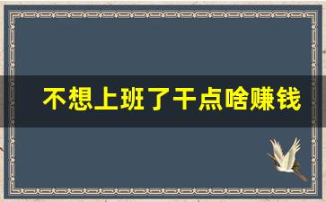 不想上班了干点啥赚钱