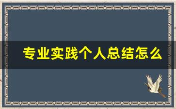 专业实践个人总结怎么写