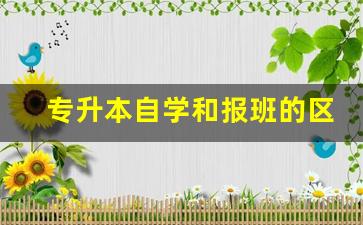 专升本自学和报班的区别_专升本考试需要报班吗