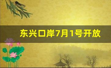 东兴口岸7月1号开放