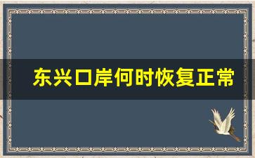 东兴口岸何时恢复正常_东兴口岸恢复通关新闻