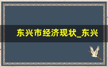 东兴市经济现状_东兴市几个镇