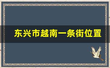 东兴市越南一条街位置