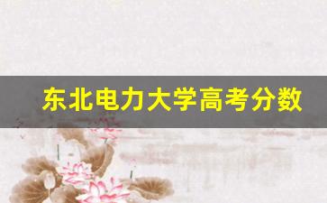 东北电力大学高考分数线_辽宁工程技术大学高考分数线