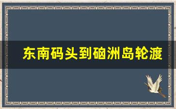 东南码头到硇洲岛轮渡时刻表_硇洲岛最后一班船几点