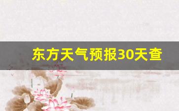 东方天气预报30天查询结果_东方市未来一个月的天气预报