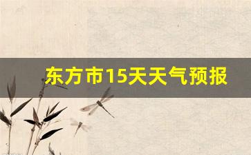 东方市15天天气预报_天气预报东方市