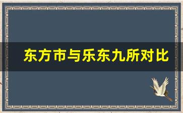 东方市与乐东九所对比