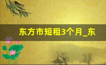 东方市短租3个月_东方市租房一室一厅