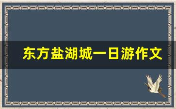 东方盐湖城一日游作文600字