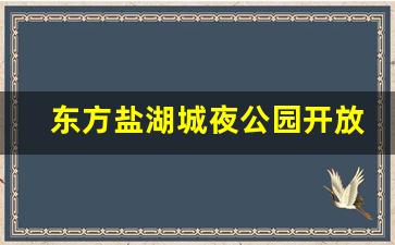 东方盐湖城夜公园开放时间_盐湖城在哪里