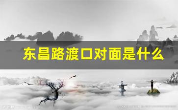 东昌路渡口对面是什么渡口_十六铺码头轮渡时间票价