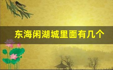 东海闲湖城里面有几个学校啊