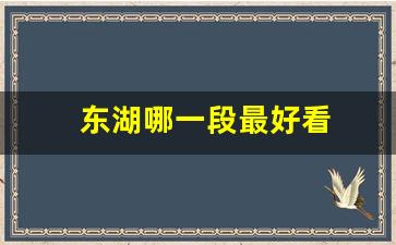 东湖哪一段最好看