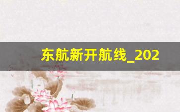 东航新开航线_2023年9月国际航班计划