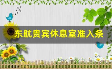 东航贵宾休息室准入条件_共享航班可以进入vip贵宾室