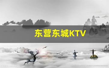 东营东城KTV