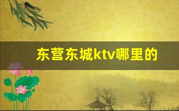 东营东城ktv哪里的服务好