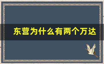 东营为什么有两个万达_东营万达广场哪个好玩