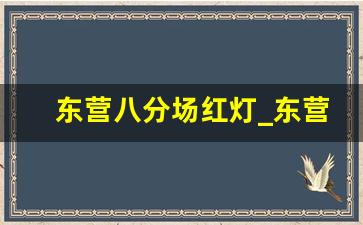 东营八分场红灯_东营西二路有好多小ktv