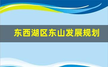 东西湖区东山发展规划_东西湖慈惠街未来规划2024