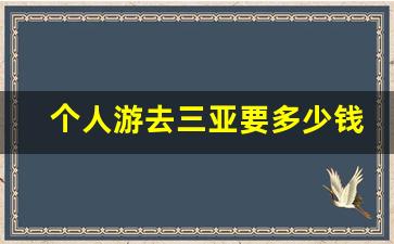 个人游去三亚要多少钱_去三亚玩需要多少钱