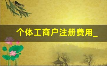 个体工商户注册费用_个体户为什么都不愿意开对公账户