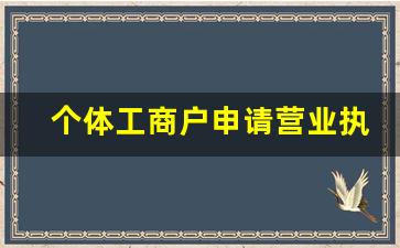 个体工商户申请营业执照网上流程_电商个体户营业执照怎么申请