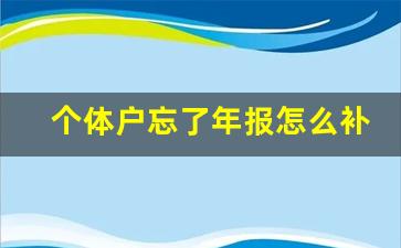 个体户忘了年报怎么补报