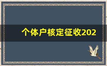 个体户核定征收2023新政_个体工商户营业执照年检入口