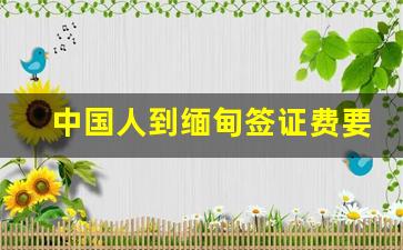 中国人到缅甸签证费要多少钱_2023年出入境缅甸自由吗