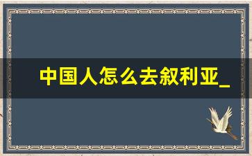 中国人怎么去叙利亚_2023叙利亚政府军控制区图